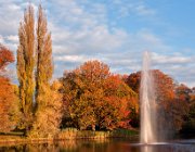 Rijstenborgherpark, Deventer  (c) Henk Melenhorst : Herfst